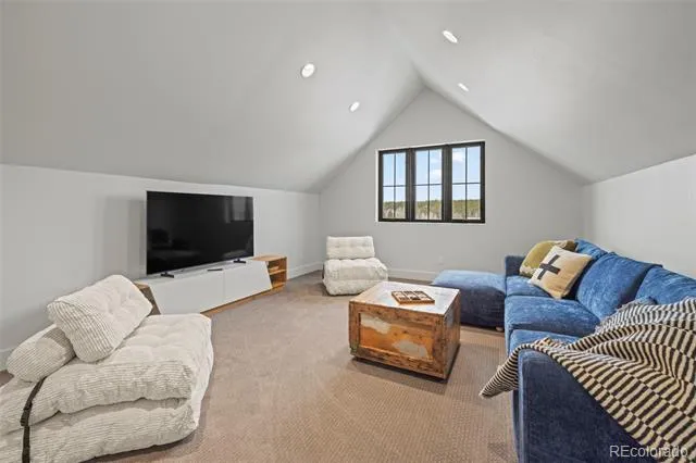 116 E 13th Street Leadville, CO 80461
