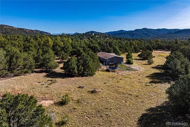 47 Bob Richards Drive Cotopaxi, CO 81223