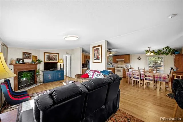 47 Bob Richards Drive Cotopaxi, CO 81223