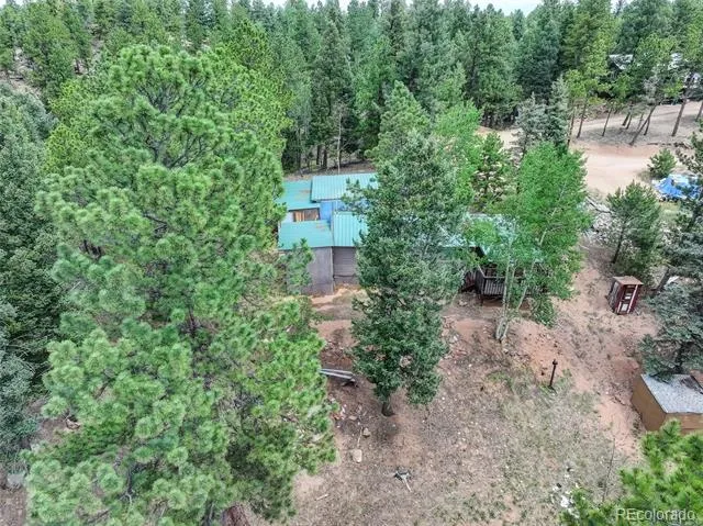 4 Honeysuckle Road Woodland Park, CO 80863