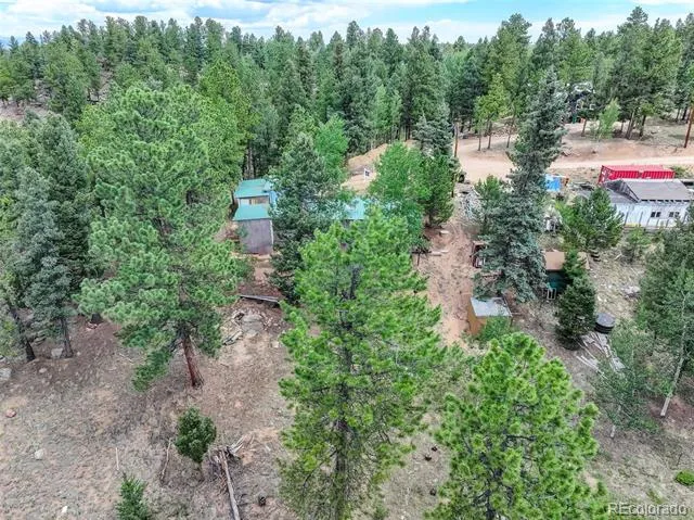 4 Honeysuckle Road Woodland Park, CO 80863