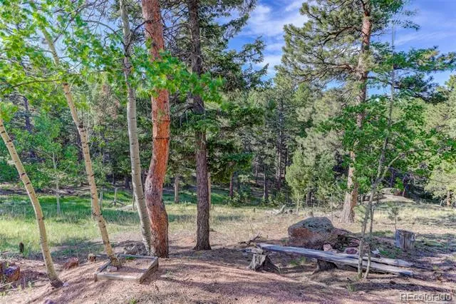 4 Honeysuckle Road Woodland Park, CO 80863