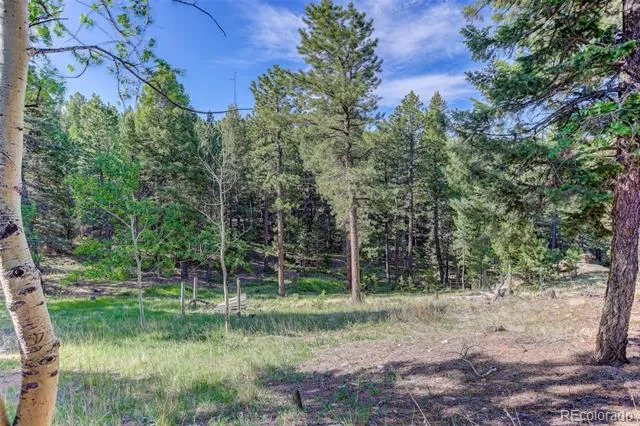 4 Honeysuckle Road Woodland Park, CO 80863