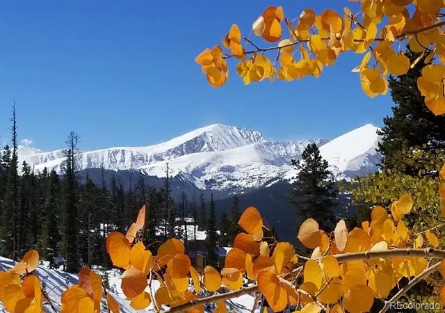 Address Not Shown Breckenridge, CO 80424