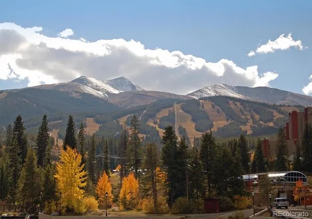Address Not Shown Breckenridge, CO 80424