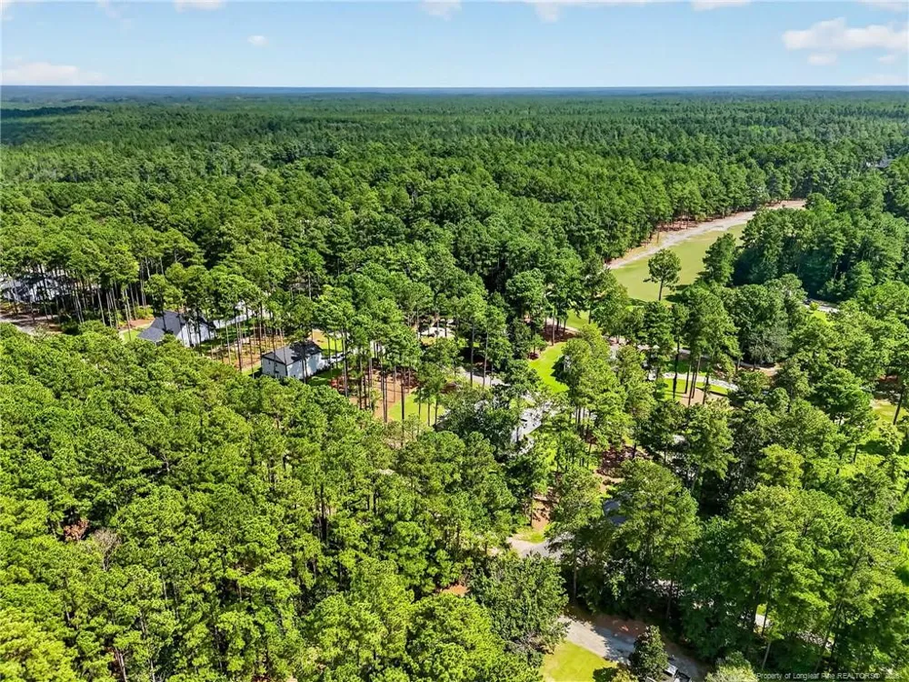 30261 East Lake Drive Wagram, NC 28396