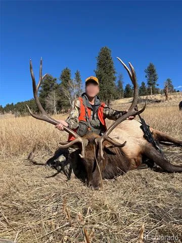12414 S US Hwy 285 Conifer, CO 80433