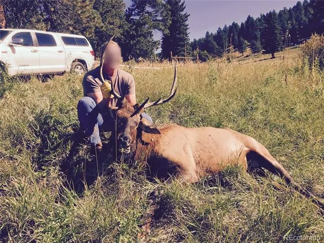 12414 S US Hwy 285 Conifer, CO 80433