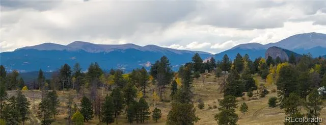 12414 S US Hwy 285 Conifer, CO 80433