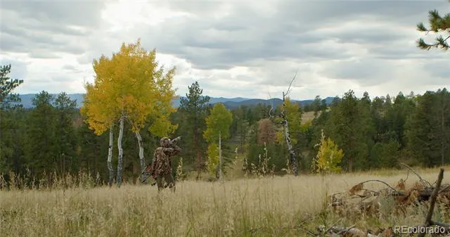 12414 S US Hwy 285 Conifer, CO 80433
