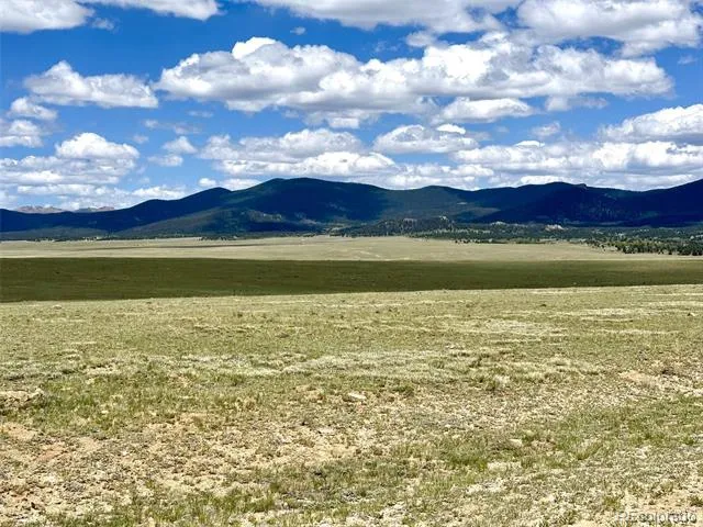 1593 Yellowstone Road Hartsel, CO 80449