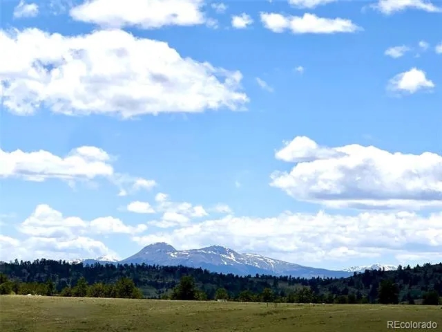 1593 Yellowstone Road Hartsel, CO 80449