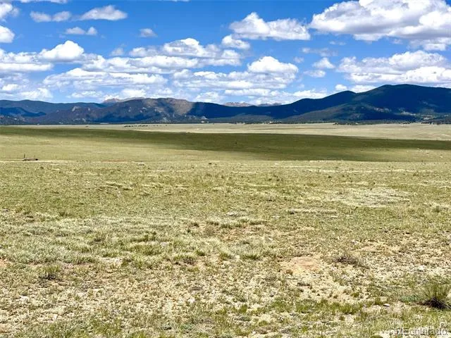 1593 Yellowstone Road Hartsel, CO 80449