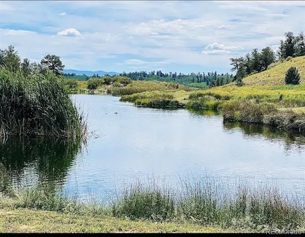 1593 Yellowstone Road Hartsel, CO 80449