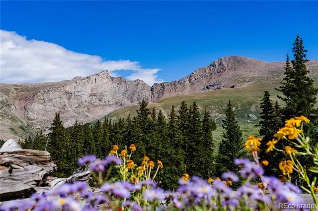 2115 Hummingbird Way #103 Georgetown, CO 80444