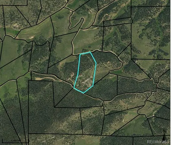 3549 Eagle Springs Road Westcliffe, CO 81252