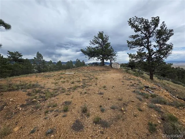 902 Settele Drive Hartsel, CO 80449