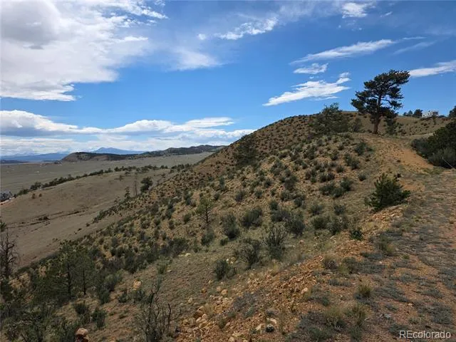902 Settele Drive Hartsel, CO 80449