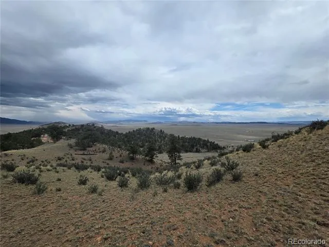 902 Settele Drive Hartsel, CO 80449