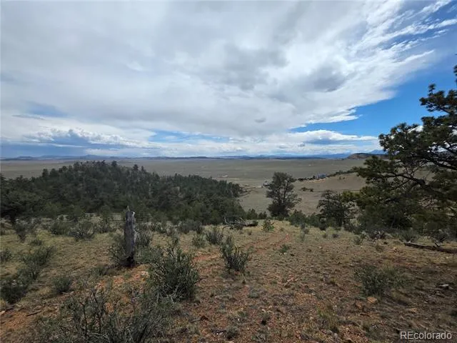 902 Settele Drive Hartsel, CO 80449