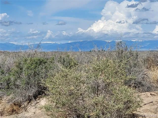 000 Meadowlark Drive Alamosa, CO 81101