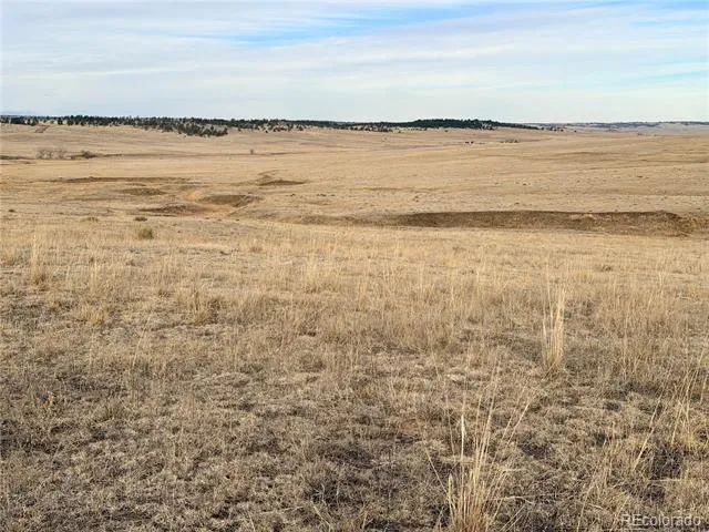 01 County Road 122 Ramah, CO 80832
