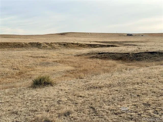 01 County Road 122 Ramah, CO 80832