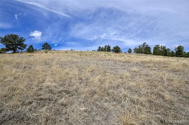 81 High Pasture Road Florissant, CO 80816