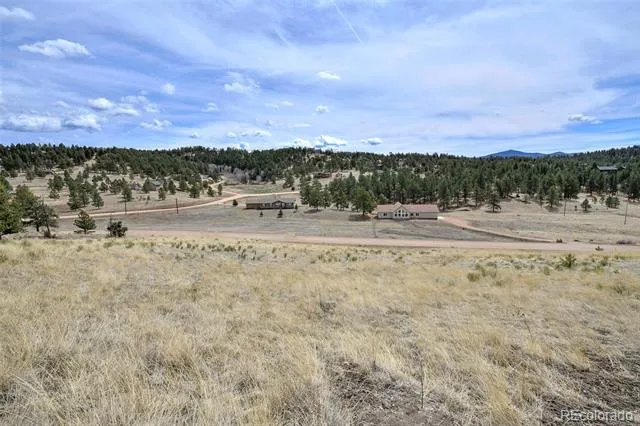 81 High Pasture Road Florissant, CO 80816