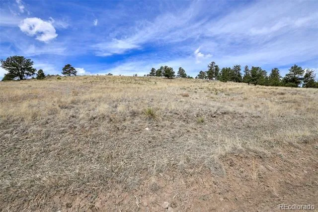 81 High Pasture Road Florissant, CO 80816