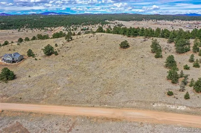 81 High Pasture Road Florissant, CO 80816