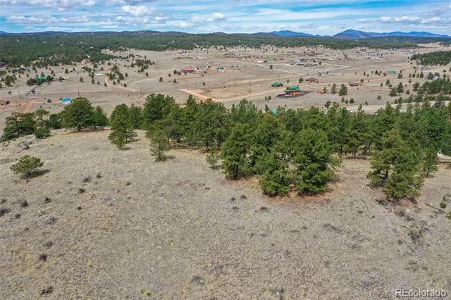 81 High Pasture Road Florissant, CO 80816