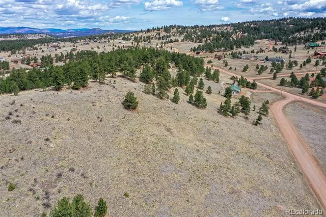 81 High Pasture Road Florissant, CO 80816