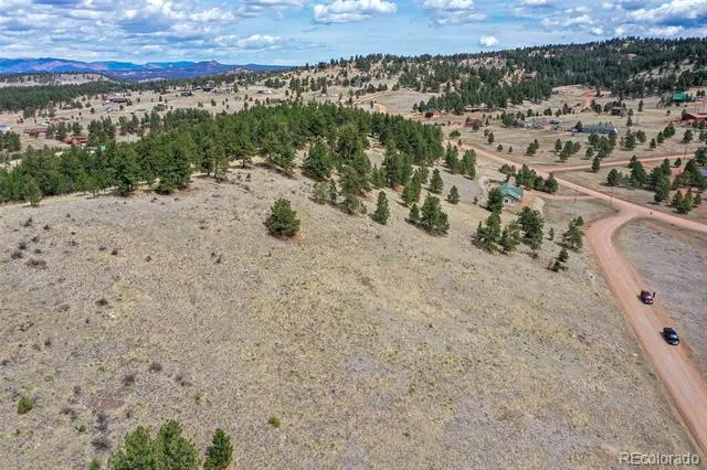 81 High Pasture Road Florissant, CO 80816