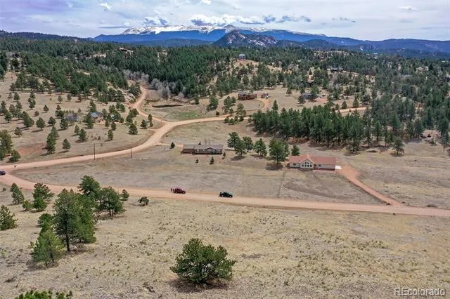 81 High Pasture Road Florissant, CO 80816
