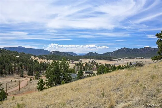 81 High Pasture Road Florissant, CO 80816