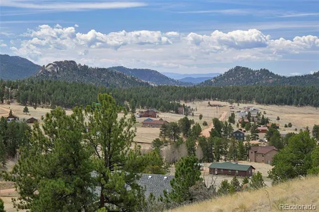 81 High Pasture Road Florissant, CO 80816