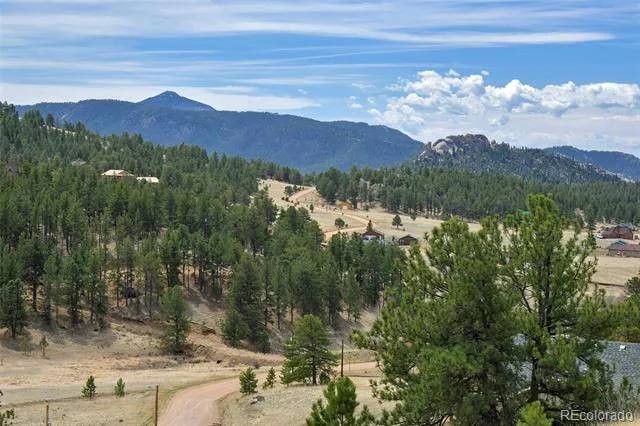 81 High Pasture Road Florissant, CO 80816