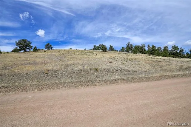 81 High Pasture Road Florissant, CO 80816