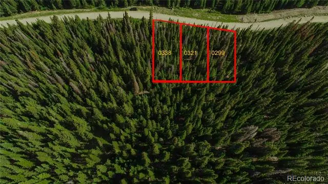 339 CR 805 Breckenridge, CO 80424