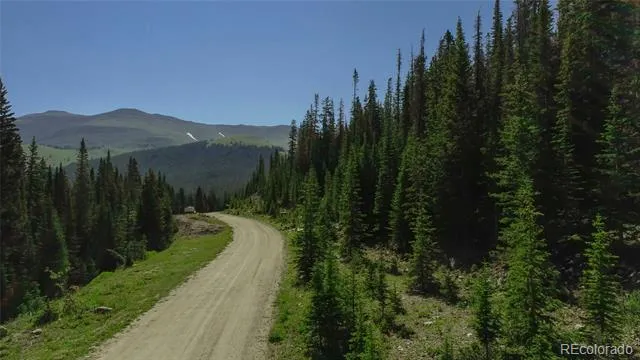 339 CR 805 Breckenridge, CO 80424