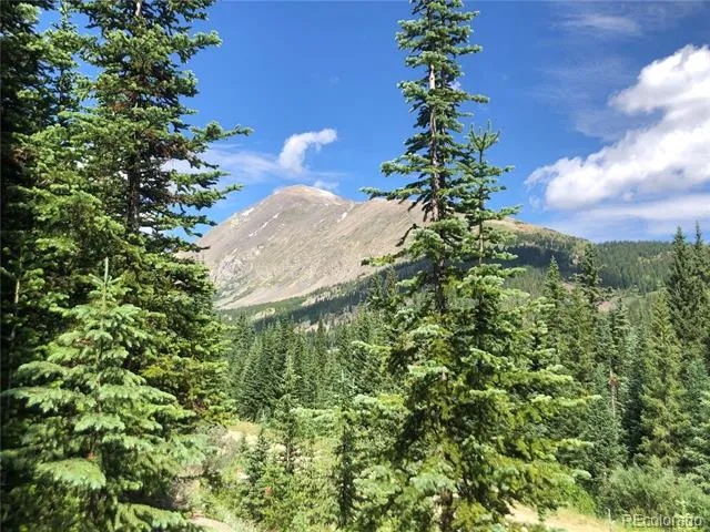 339 CR 805 Breckenridge, CO 80424