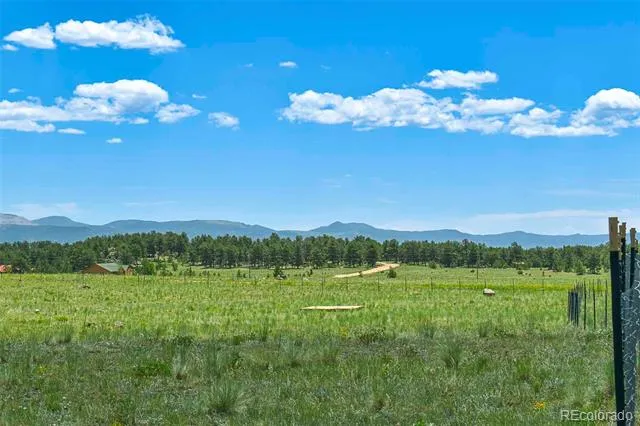 56 View Lane Guffey, CO 80820