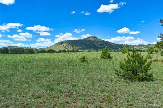 56 View Lane Guffey, CO 80820