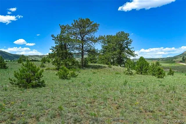 56 View Lane Guffey, CO 80820
