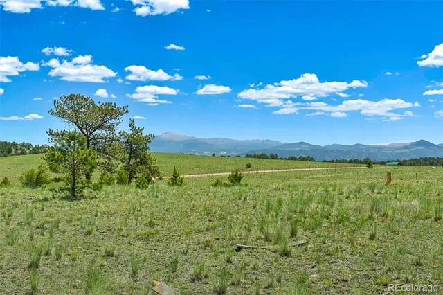 56 View Lane Guffey, CO 80820