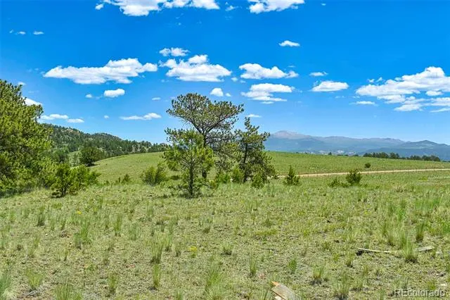 56 View Lane Guffey, CO 80820