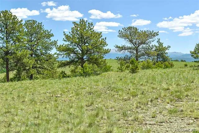 56 View Lane Guffey, CO 80820