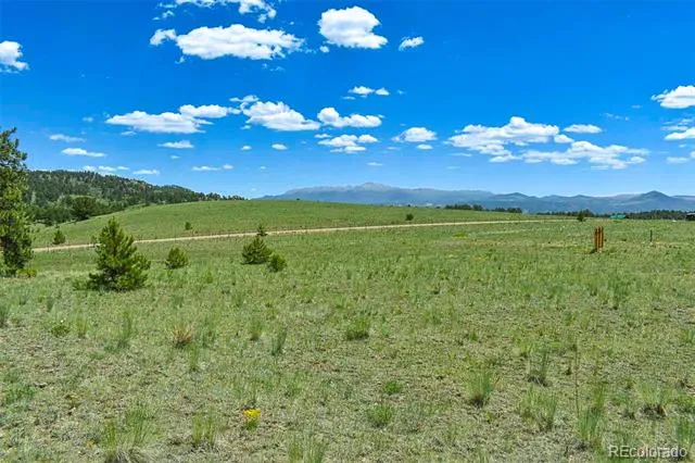 56 View Lane Guffey, CO 80820