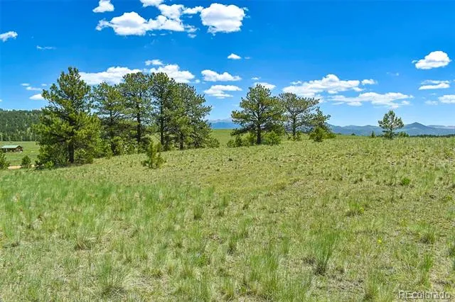 56 View Lane Guffey, CO 80820